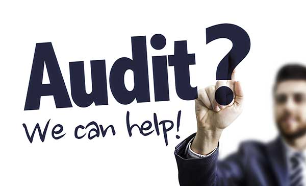 We Can Help with Tax Audits
