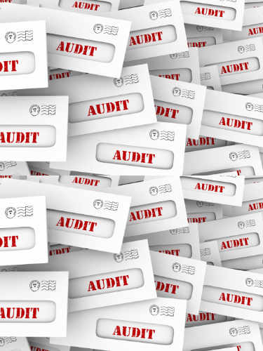 Tax Audit Envelopes
